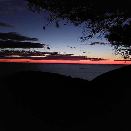 Apartmani Marija Mljet Sobra Exteriör bild